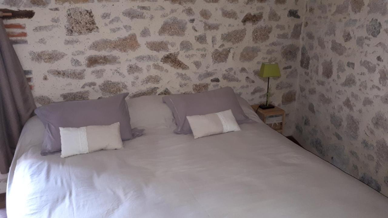 Demeure Du Castel Bed & Breakfast Les Châtelliers-Châteaumur Exterior photo